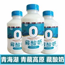 藏酸奶 青海特产青海湖含1000亿鲜活菌450g瓶 风味发酵乳低温酸奶