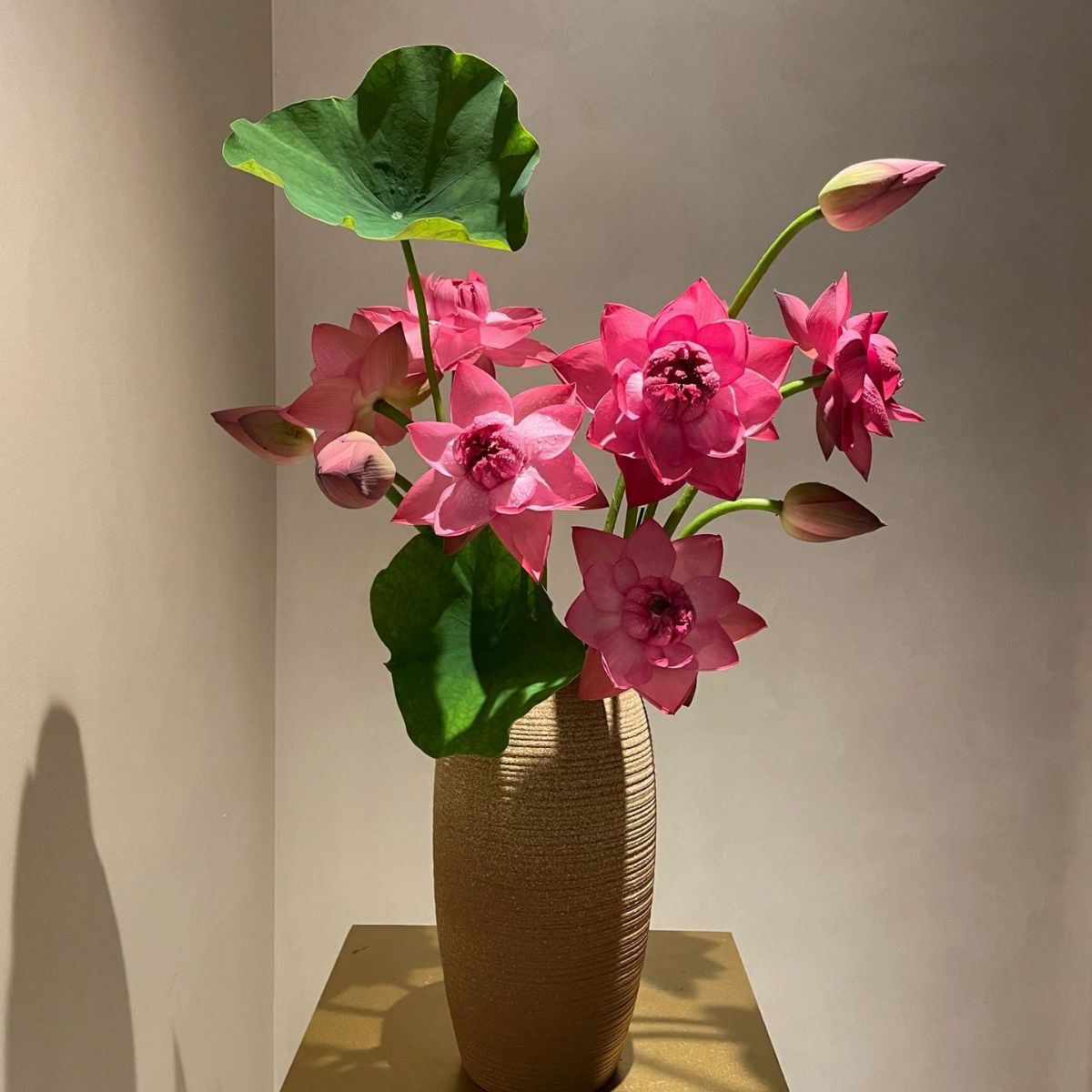 热卖 单瓣 重瓣荷花切花 家庭插花水养国庆送花云南鲜花基地直发