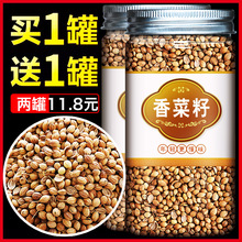 新货香子香菜籽 香菜种子芫荽籽胡荽籽芫茜子提鲜增香500克包邮