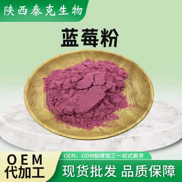 蓝莓粉 蓝莓果蔬粉蓝莓果汁粉 现货蓝莓粉 果粉1kg起批蓝莓粉