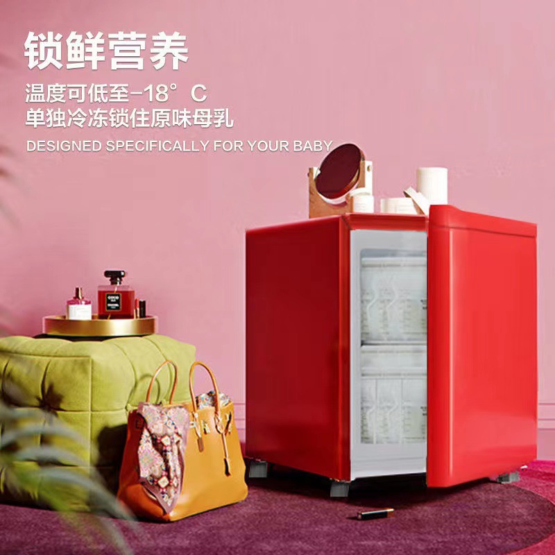 志高母乳冰箱储奶冷冻冷藏迷你冷冻柜家用存放专用小型冰柜冷冻箱