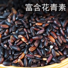 血糯米新米东北特产农家黑糯米糯米正宗紫糯米饭团5斤五谷杂粮米