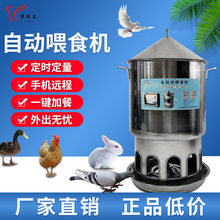津羽王鸽子全自动喂食机定时定量自动下料器食槽信鸽赛鸽用品用具