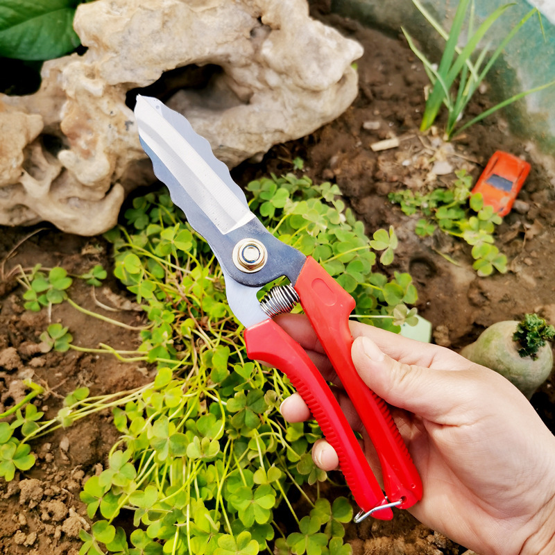 农用工具蒜剪子热销黄红双色柄抛光锰钢耐用锋利大蒜剪刀