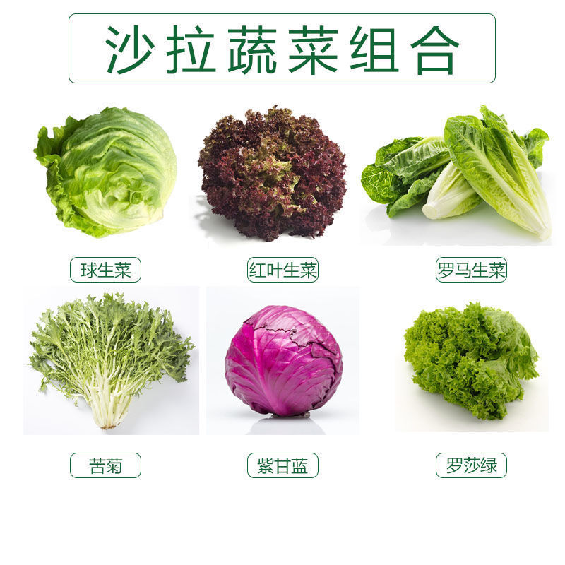 4斤包邮6种组合装新鲜沙拉蔬菜轻食蔬菜沙拉材料沙拉食材新鲜蔬菜
