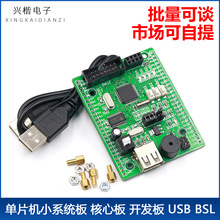 MSP430F149单片机小系统板 核心板 开发板 USB BSL下载器