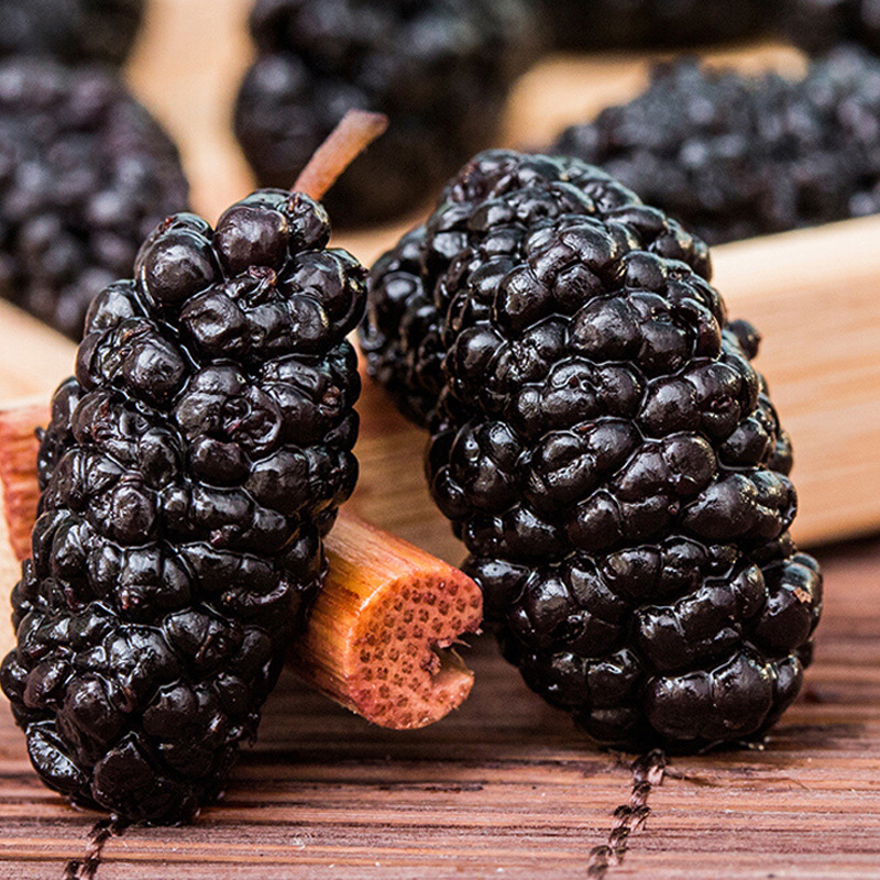 即食桑葚干新鲜无沙桑葚干黑桑葚子泡水泡酒桑果