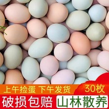 正宗农家土鸡蛋散养自养农村天然新鲜30枚草鸡蛋绿壳乌鸡笨鸡蛋农