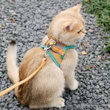 猫咪牵引绳背心式胸背带防挣脱可爱外出狗狗牵引绳遛猫遛狗专用绳