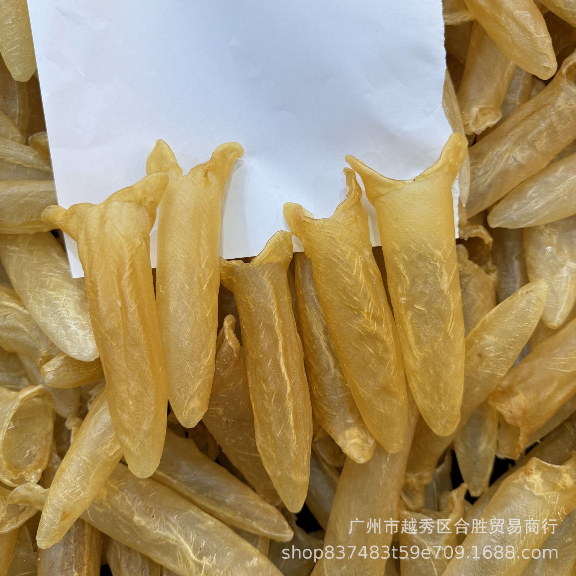 43头黄花胶 鱼胶花胶筒 酒店食材 滋补品-阿里巴巴
