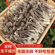 云南特产鹿茸菇干货蘑菇干菇食用菌菌菇包营养煲汤鹿茸菌500g