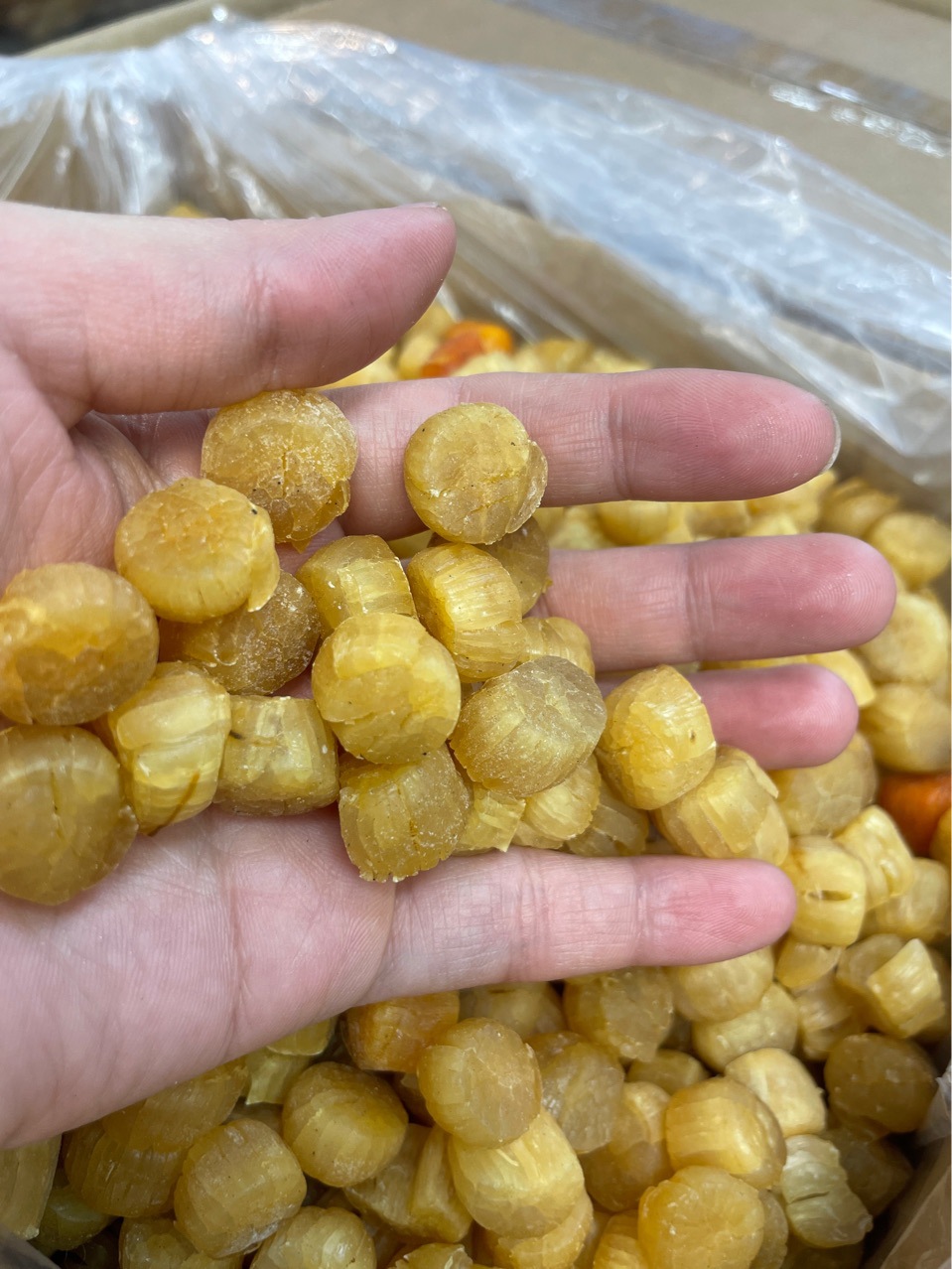 大连元贝扇贝肉大干贝瑶柱渔民自晒淡口海味大量批发一件代发