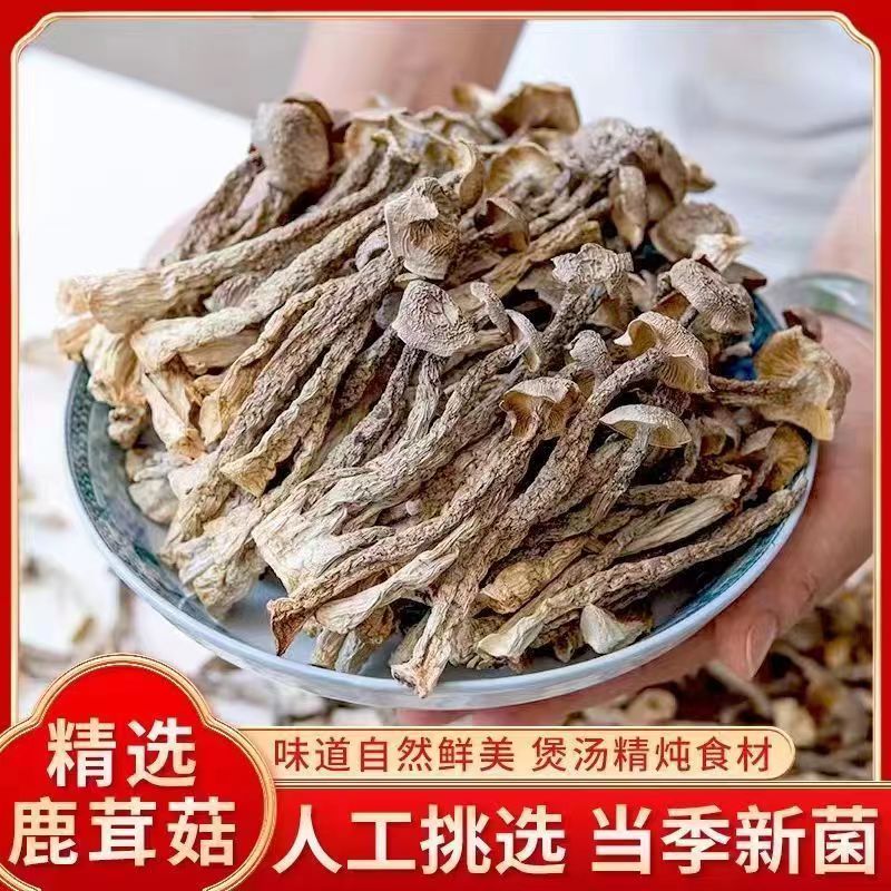高品质鹿茸菇干货500g一斤嫩仔不开伞无熏硫鹿茸菌新货特产香菇