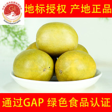 广西桂林低温脱水罗汉果大果真空黄金果新货产地发货厂家批发新果