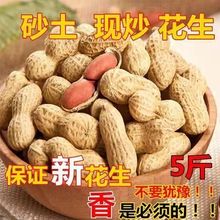 原味炒熟花生铁锅炒花生带壳熟花生生花生批发花生种子零食厂家