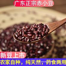 红豆杂粮500g2023赤小豆新货农家有机长粒广东自产赤豆