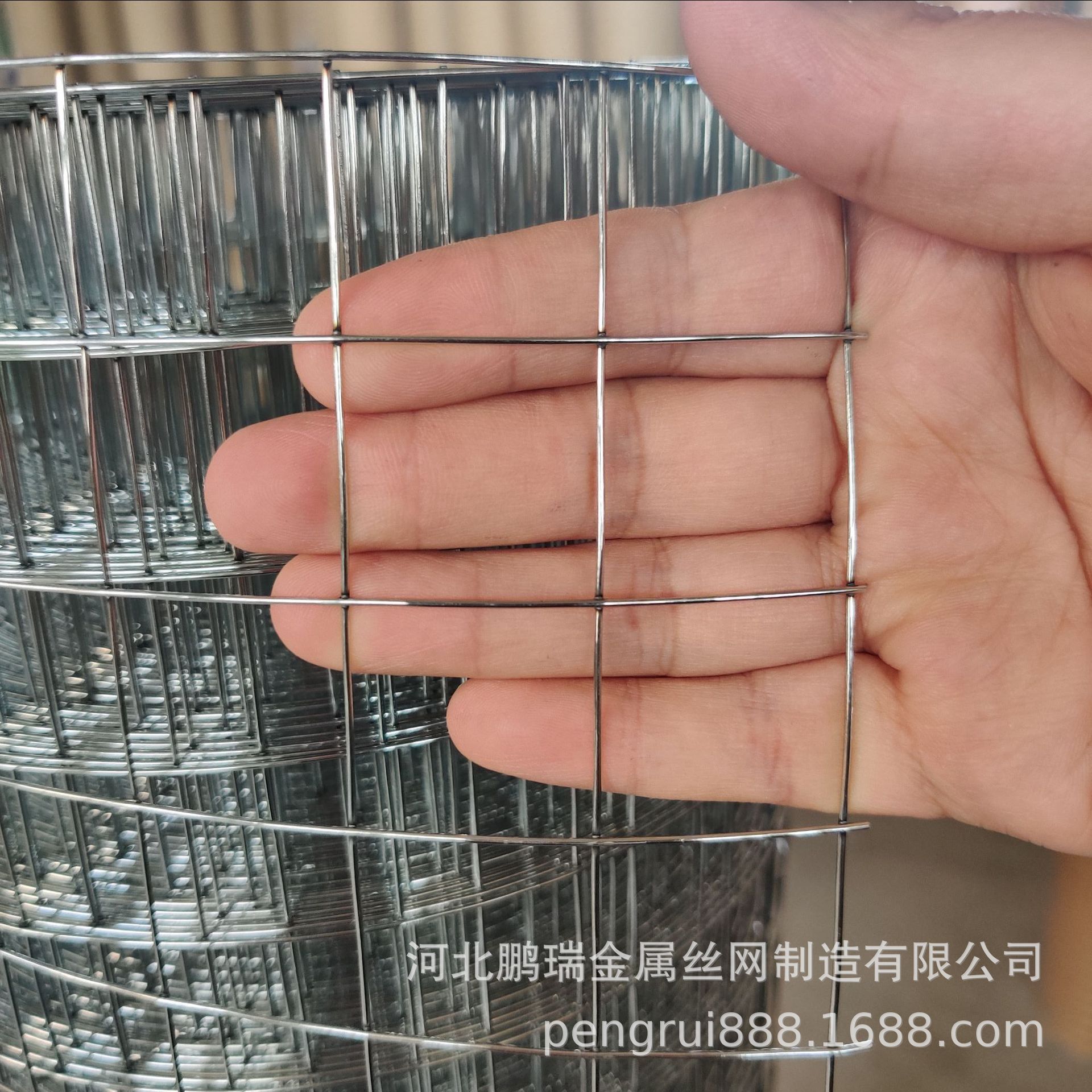 烟道网电镀锌电焊网铁丝网厂3cm孔养殖网圈地网围网养鸡网