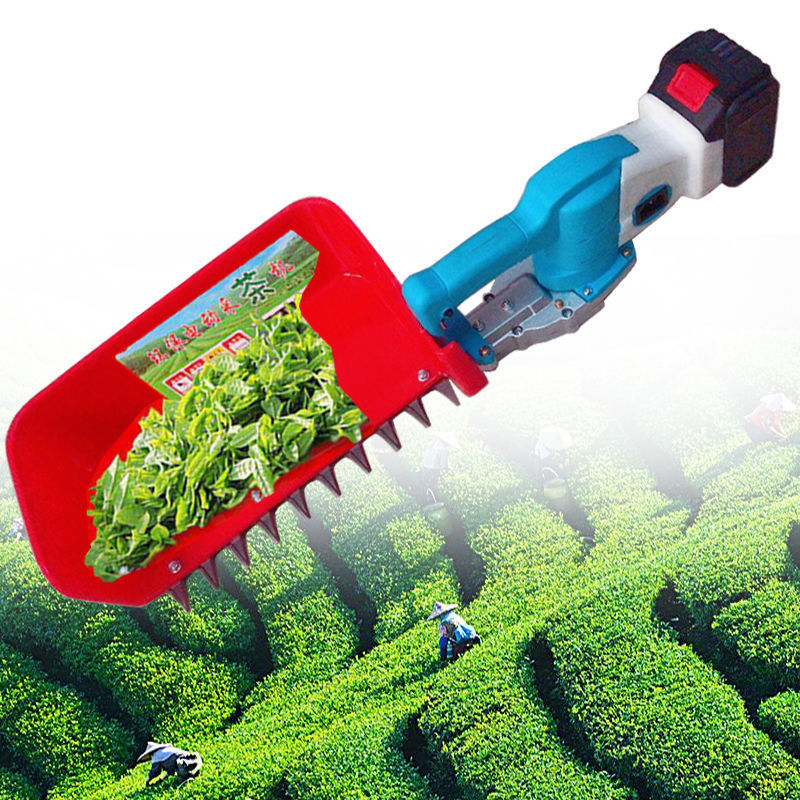 双人茶叶采摘机