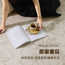 Y5UG【38大促生活节】地毯客厅法式2024新款免洗可擦沙发地垫卧室