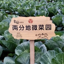 指示导向牌 立牌学校提示牌防腐木园林草地标语牌指路 实木插地牌