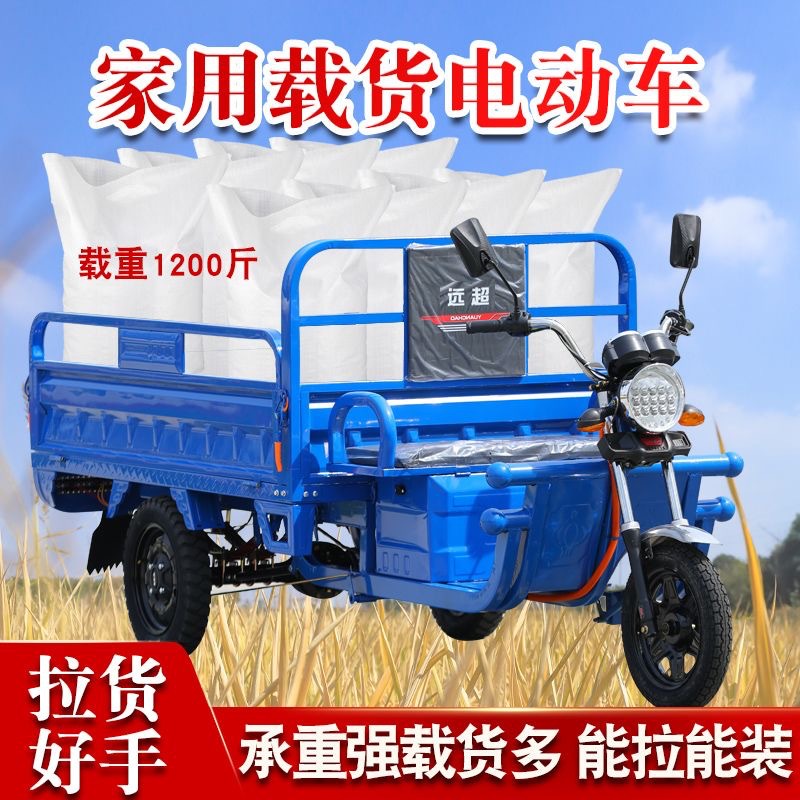 电动三轮车成人货车载货王多人农用车电瓶拉货快递车