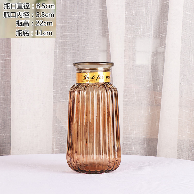 Nordic Imitation Gold Circle Glass Vase Transparent Vase Dried Flower Flower Arrangement Glass Bottle Living Room Home Creative Decoration Ornaments