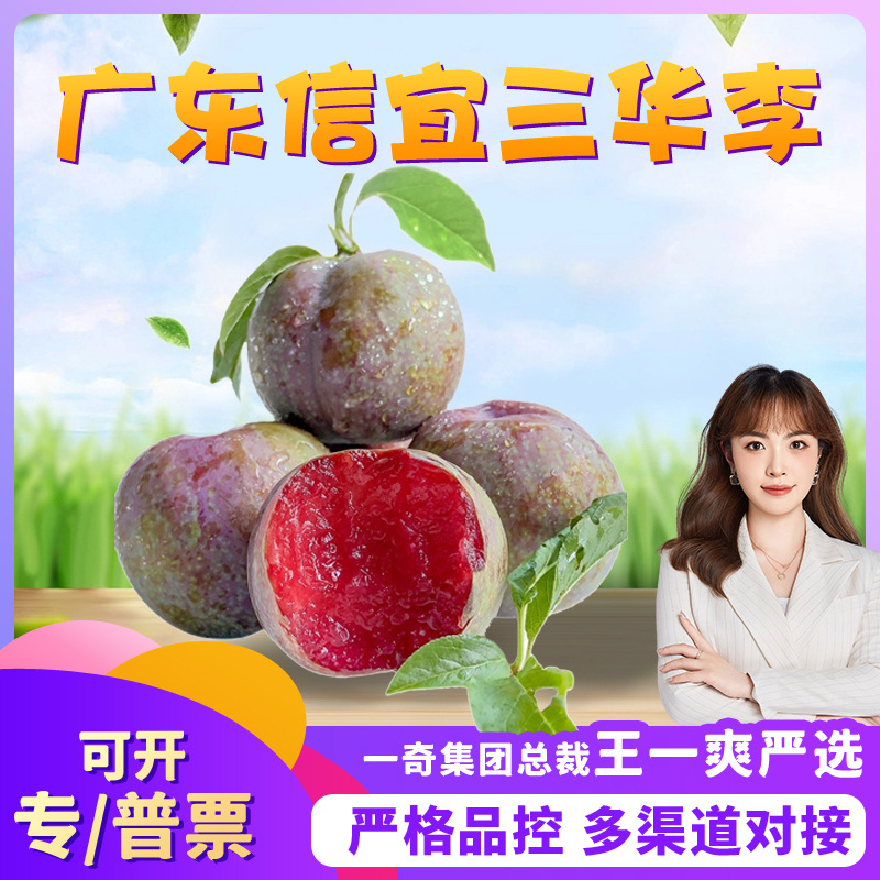 【严选】广东茂名三华李 代发3斤大果应季酸甜多汁新鲜水果黑布林