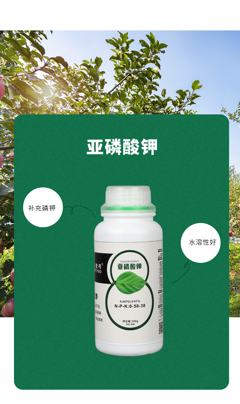 厂家供应苹果西红柿辣椒梨子芒果亚磷酸钾水剂批发价格