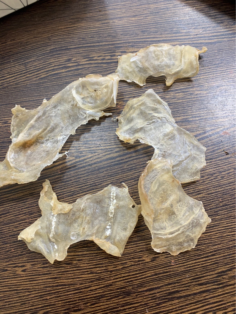 蝴蝶胶 (又名加州白花胶)