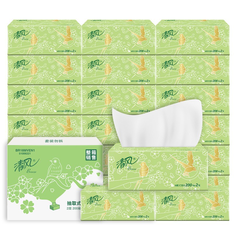 Fresh Wind Paper Extraction Light Green Flower 2 Layers 200 Sheets 20 Packs Facial Tissue Full Box Wholesale Household Office Paper Br18mven