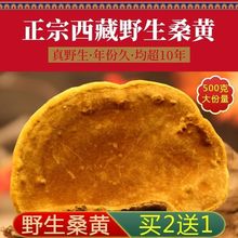 甄选 西藏野生桑树桑黄正品 真野生桑黄灵芝整朵自治区250g