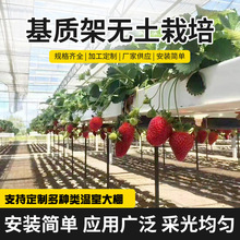 无土栽培项目工程 智能农业温室大棚 立体种植槽养殖槽水培种植架