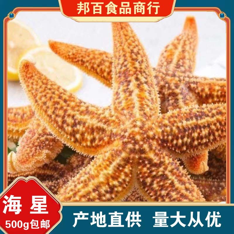 刺棘海星海五星海盘车海星干货中药材正品散装滋补煲汤泡酒料