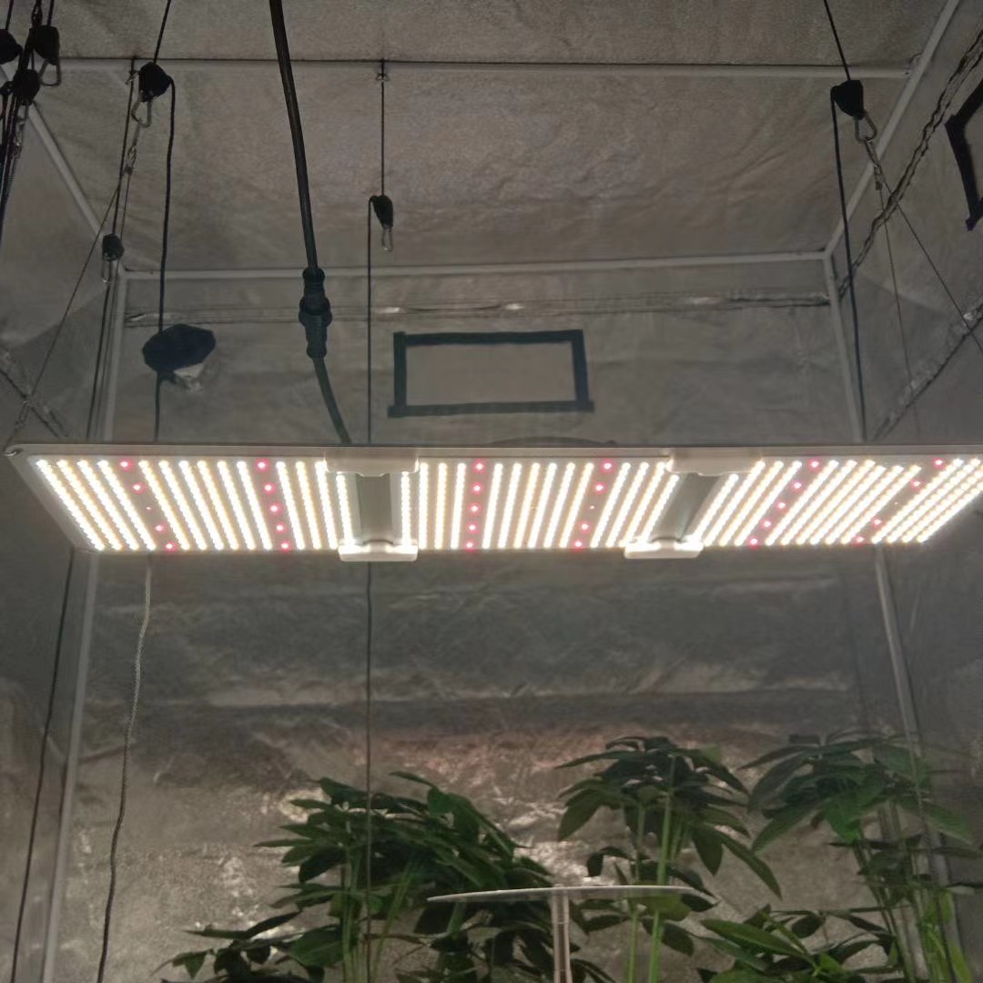 植物量子板生长灯led植物全光谱par补光薄款跨境灯花卉种植灯