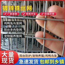 铁丝网镀锌钢丝网防锈围栏养鸡鸭鹅网防鼠蛇鸟玉米围网圈地网批发