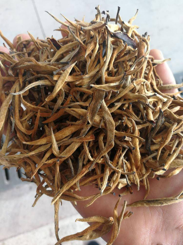 滇红大金芽云南红茶凤庆滇红茶金针散装古树红茶500g茶叶茶叶批发