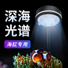 鱼缸海缸灯全光谱led防水三基色海水缸水草珊瑚专用造景透镜夹灯