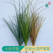 仿真把束长须芦苇草狗尾草绿植盆栽摆件 工程装饰洋葱草花束ins