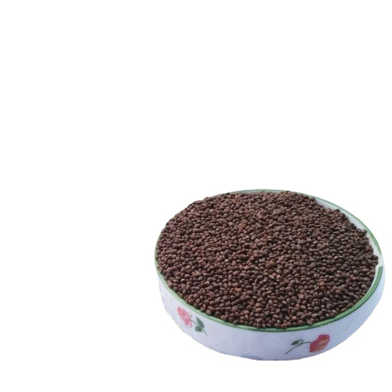 东北生紫苏子2斤野苏子籽1斤野麻子黑苏子种子榨油打粉原料