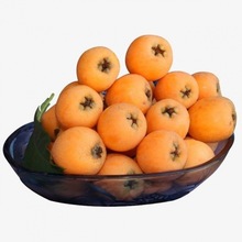 云南长红3号枇杷1/3/5斤优惠装新鲜现摘现发水果长红3枇杷水果