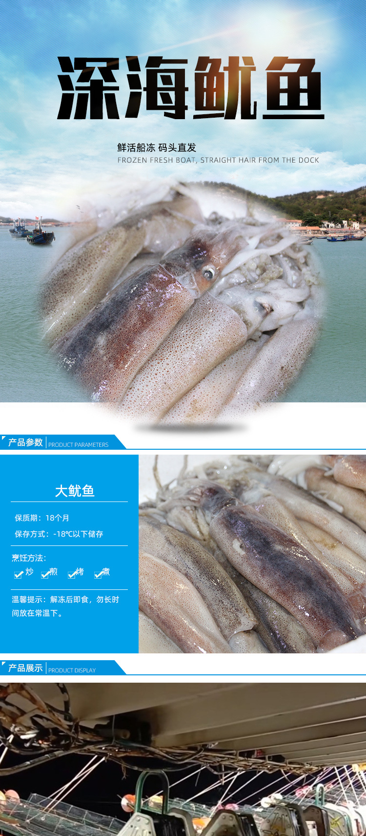 厂家批发阿根廷鱿鱼整只新鲜冰冻乌贼八爪鱼冷冻烧烤火锅食材