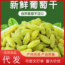 水洗新疆葡萄干代发批发500g 散装绿提子蜜饯果干零食无沙葡萄干