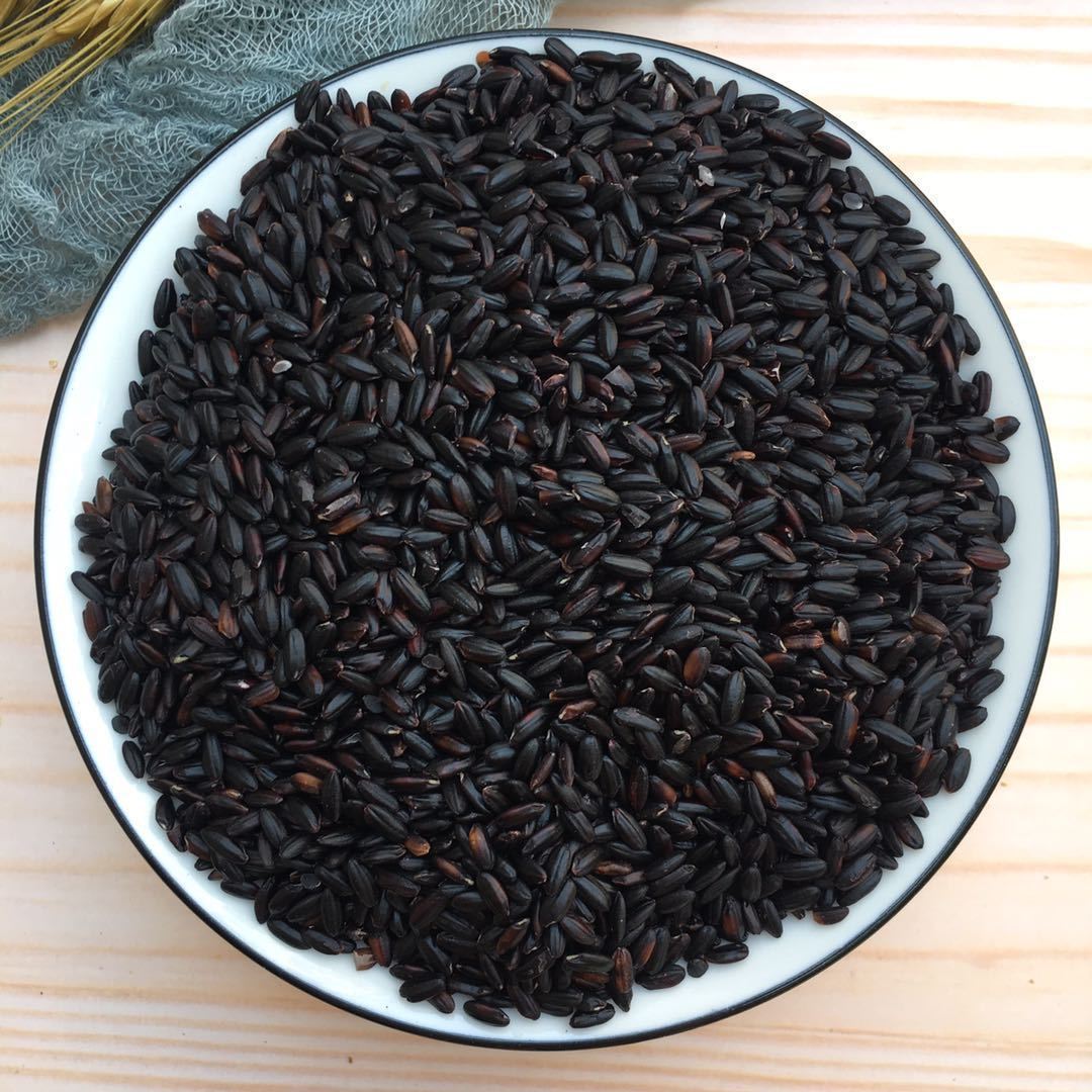 五常新米东北黑米1斤5斤农家自产五谷杂粮黑香米大米粥非五斤散装