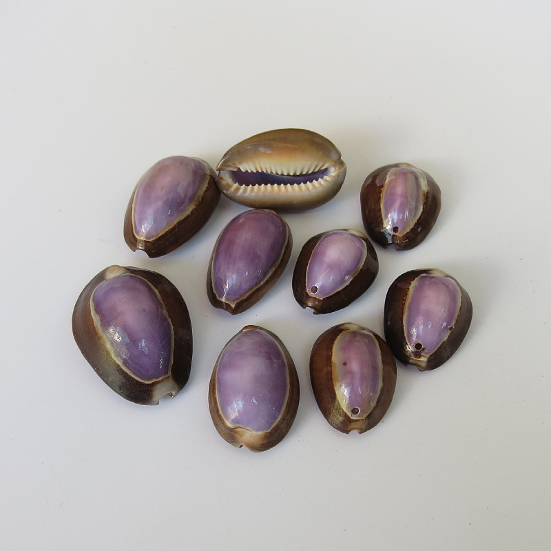 打孔小贝雪山紫宝螺 工艺挂件装饰品小螺贝 工艺品雪山紫宝螺原料