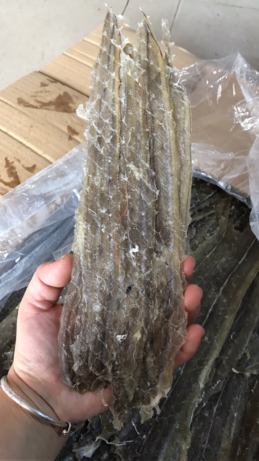 北海特产烧烤鳗鱼干手撕鳗鱼干芥末马步鱼干鳗鱼片500克海鲜批发