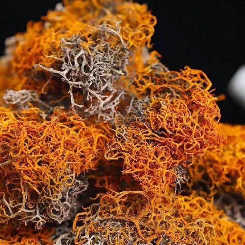 红雪茶特产西藏野正品心血茶鹿长丝高原红血金丝红茶批发包邮