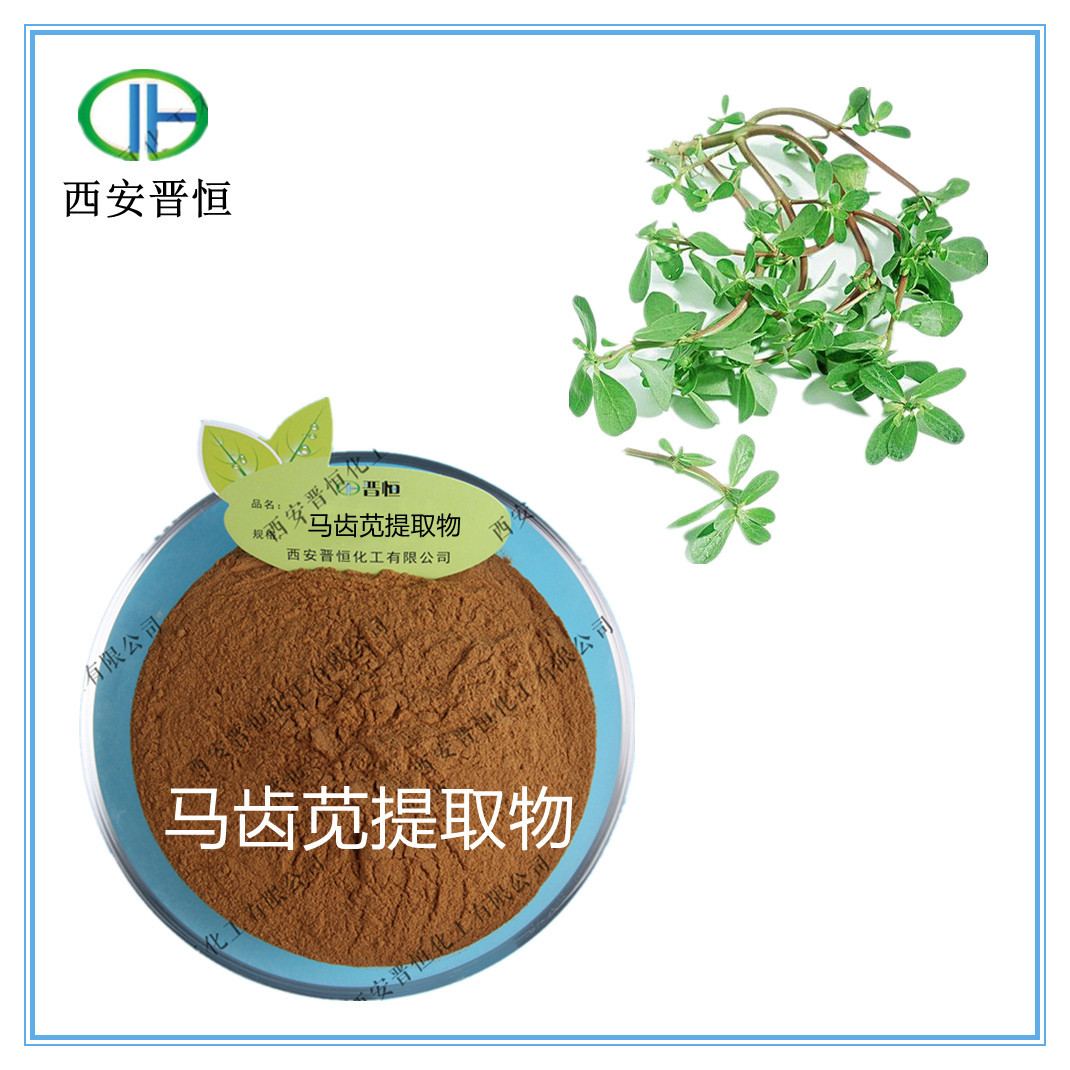 马齿苋提取物 20:1比例 马齿苋皂甙 厂家现货包邮 量大从优-阿里巴巴