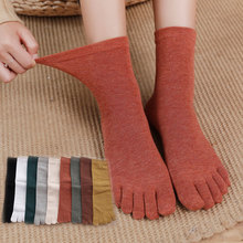 五指袜秋冬吸汗保暖分趾袜女纯色女士袜子全棉中筒多色防臭中筒袜