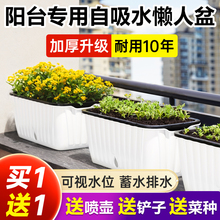 懒人自动吸水盆阳台种菜种植箱长条盆家庭种菜塑料花盆大