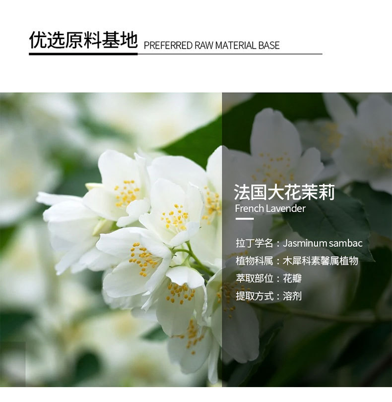 进口茉莉精油天然植物香薰精油推拿按摩油大花茉莉单方纯精油批发